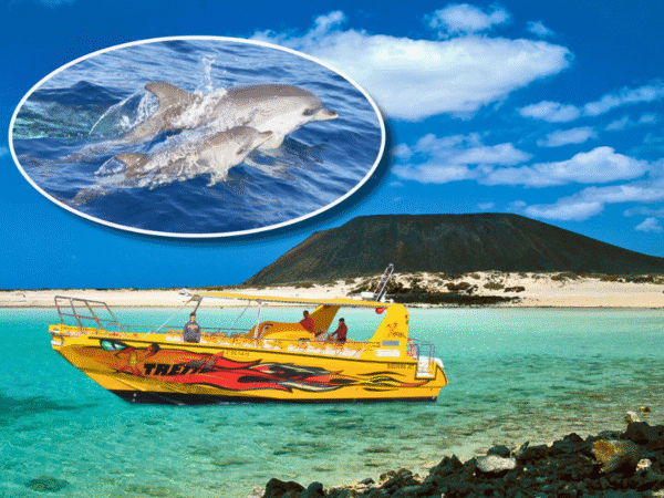 Isla de Lobos Tour – Lobos Island Dolphin Route Boat Trip