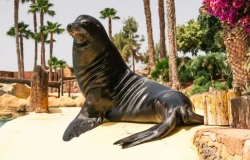 Rancho Texas Lanzarote Tickets